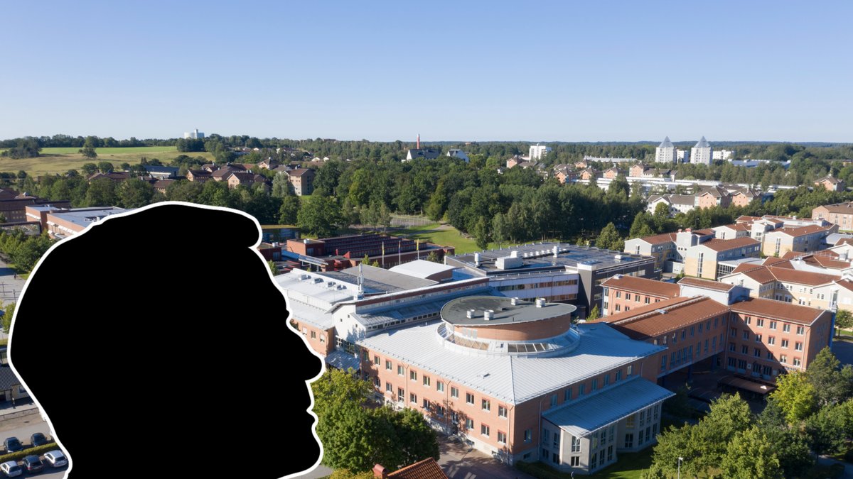 Professorn arbetar vid Linnéuniversitetet i Växjö.